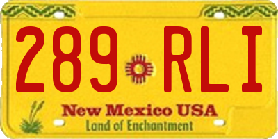NM license plate 289RLI