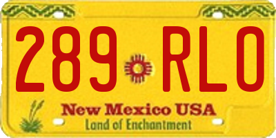 NM license plate 289RLO