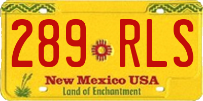NM license plate 289RLS