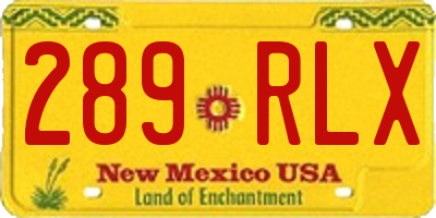 NM license plate 289RLX