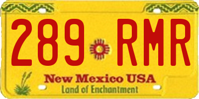 NM license plate 289RMR