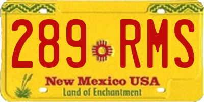 NM license plate 289RMS