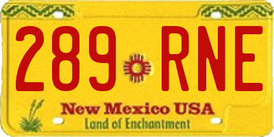 NM license plate 289RNE