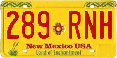 NM license plate 289RNH