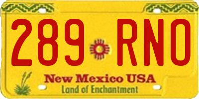 NM license plate 289RNO