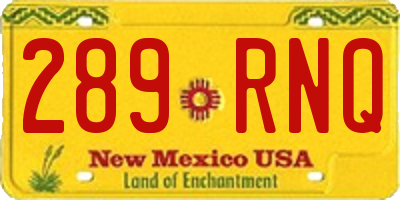 NM license plate 289RNQ