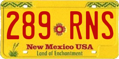 NM license plate 289RNS