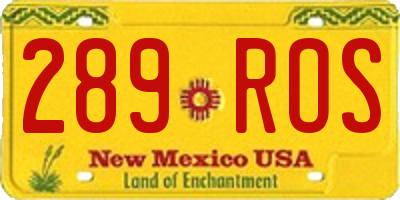NM license plate 289ROS