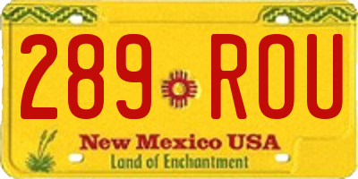 NM license plate 289ROU