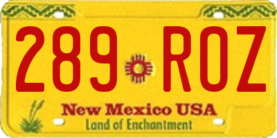 NM license plate 289ROZ