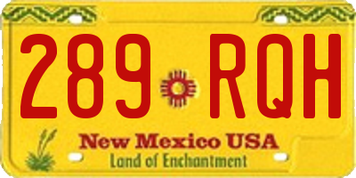 NM license plate 289RQH