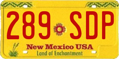 NM license plate 289SDP
