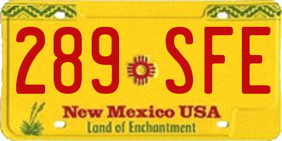 NM license plate 289SFE