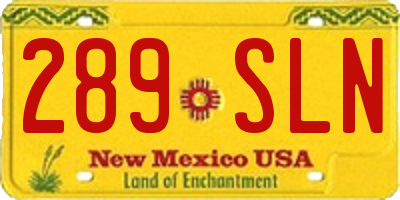 NM license plate 289SLN