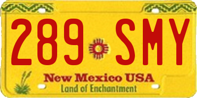 NM license plate 289SMY