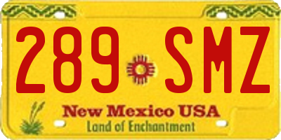 NM license plate 289SMZ