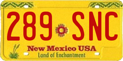NM license plate 289SNC
