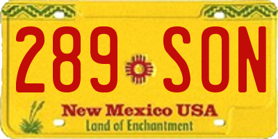 NM license plate 289SON