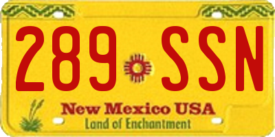 NM license plate 289SSN