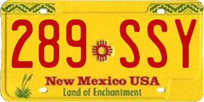 NM license plate 289SSY