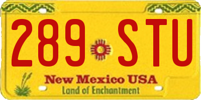 NM license plate 289STU