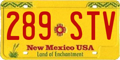 NM license plate 289STV