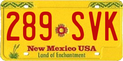 NM license plate 289SVK