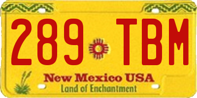 NM license plate 289TBM