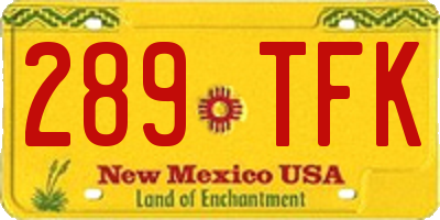 NM license plate 289TFK