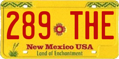 NM license plate 289THE