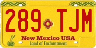 NM license plate 289TJM
