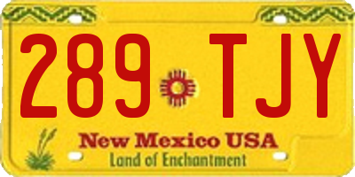 NM license plate 289TJY