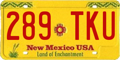 NM license plate 289TKU