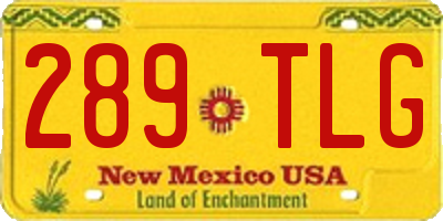 NM license plate 289TLG