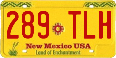 NM license plate 289TLH