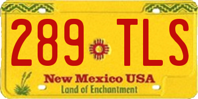 NM license plate 289TLS