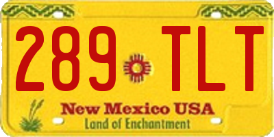 NM license plate 289TLT