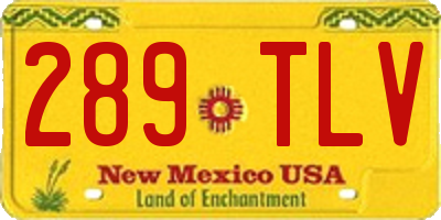NM license plate 289TLV