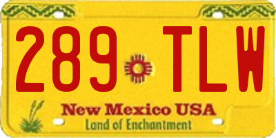 NM license plate 289TLW