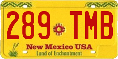 NM license plate 289TMB