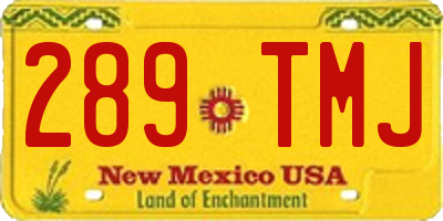 NM license plate 289TMJ