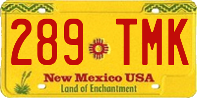 NM license plate 289TMK