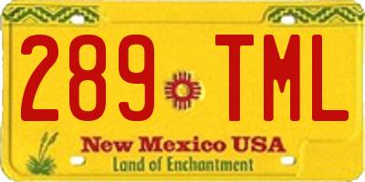 NM license plate 289TML