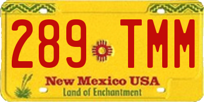 NM license plate 289TMM