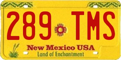 NM license plate 289TMS