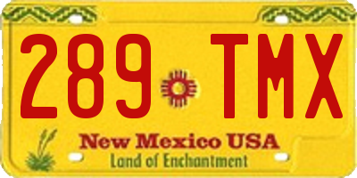 NM license plate 289TMX