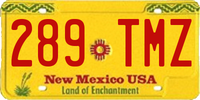 NM license plate 289TMZ