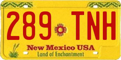 NM license plate 289TNH