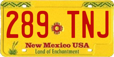 NM license plate 289TNJ