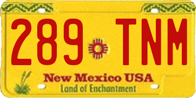 NM license plate 289TNM